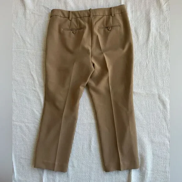 Talbots Raleigh muted acorn Straight leg Light brown Tan pants trousers sz 10 - Picture 8 of 11